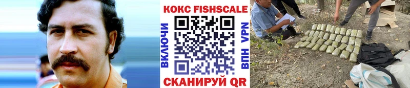купить закладку  Нелидово  Кокаин 97% 