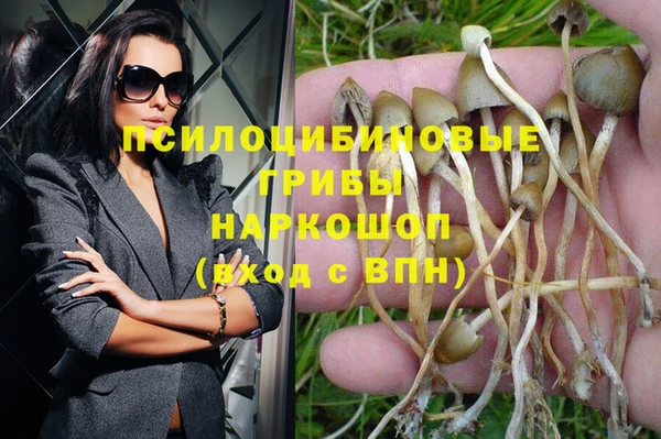 jwh Белокуриха
