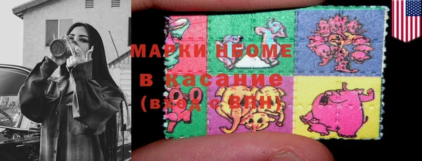 СК Сосновый Бор