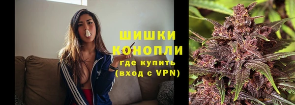 СК Сосновый Бор